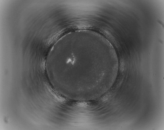 X0000101980405200808081620