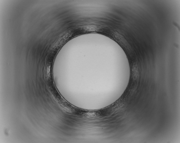 X0000101980406200808081620