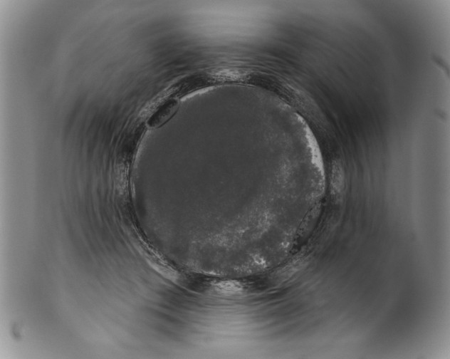 X0000101980409200808081620