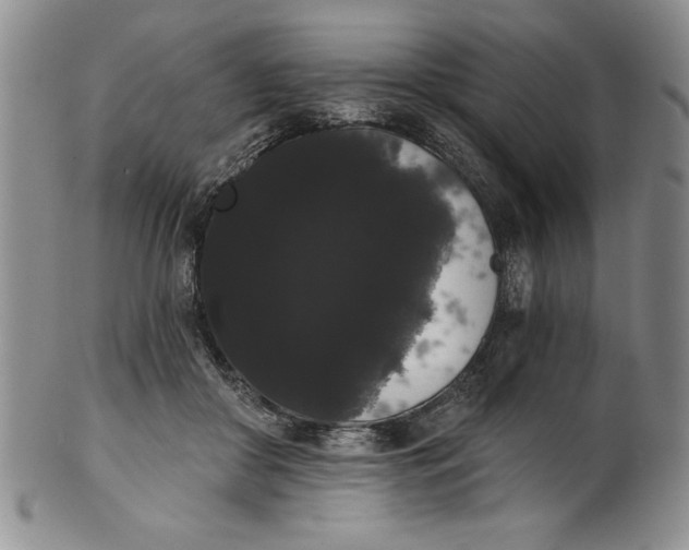 X0000101980410200808081620