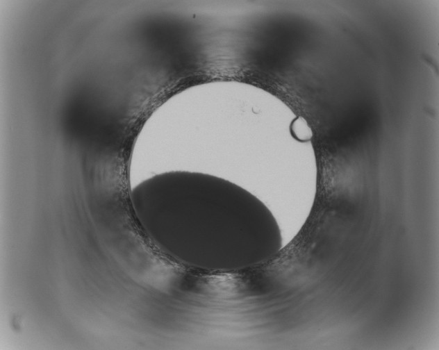 X0000101980411200808081620