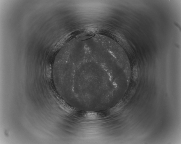 X0000101980413200808081620