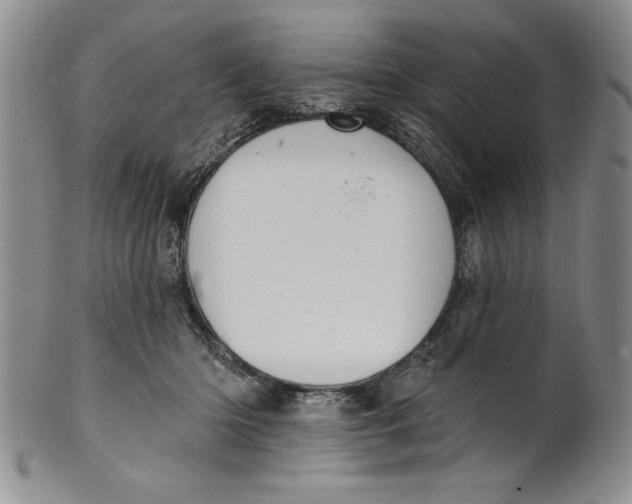 X0000101980414200808081620