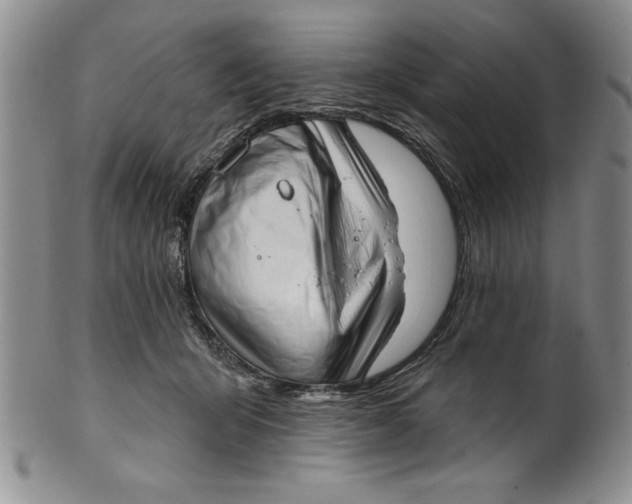 X0000101980415200808081620