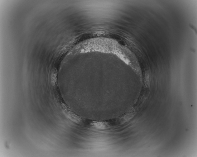 X0000101980417200808081620