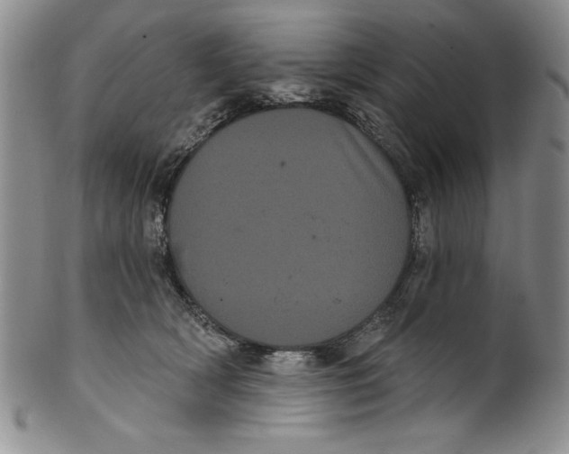 X0000101980418200808081620