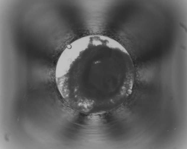 X0000101980419200808081620