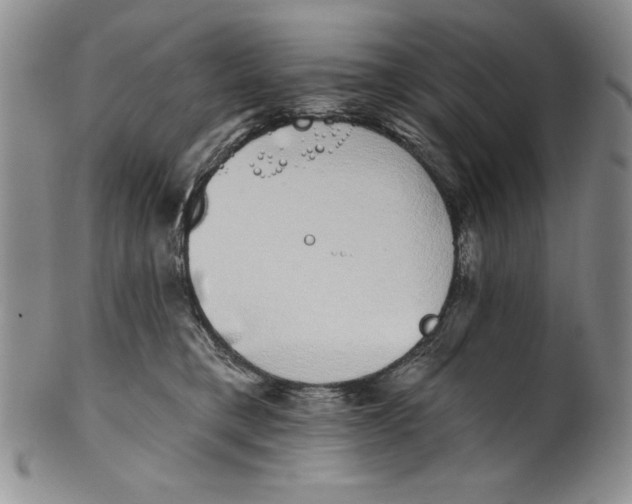 X0000101980421200808081620