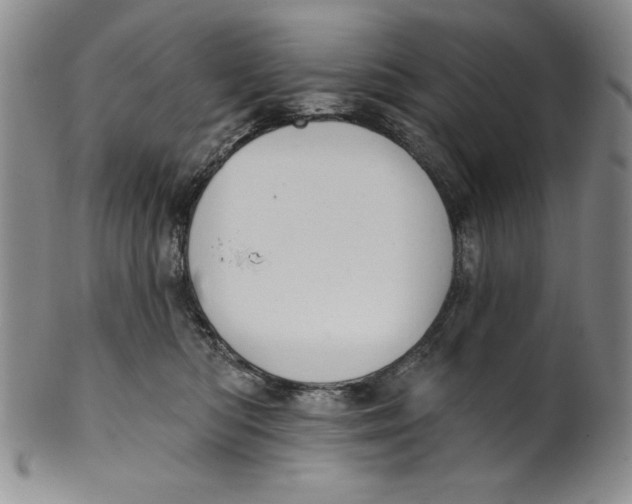 X0000101980422200808081620