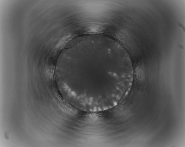 X0000101980423200808081620