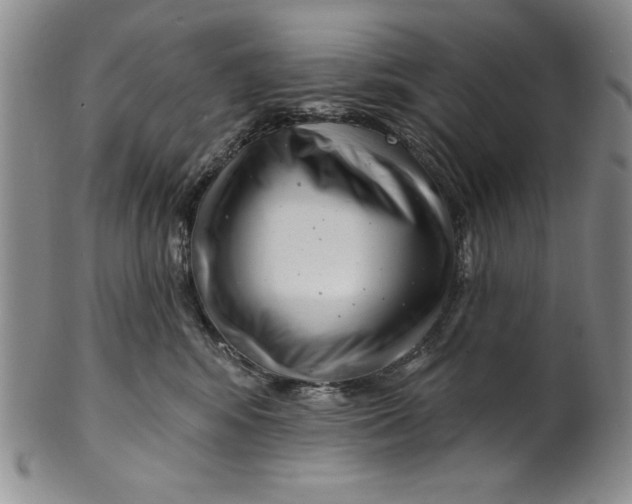 X0000101980424200808081620