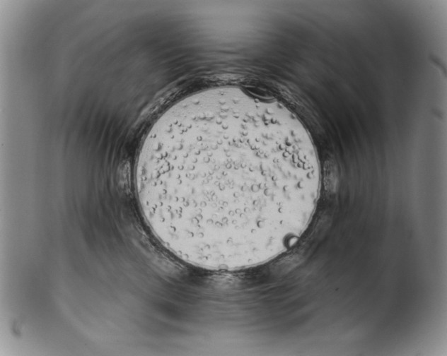 X0000101980425200808081620