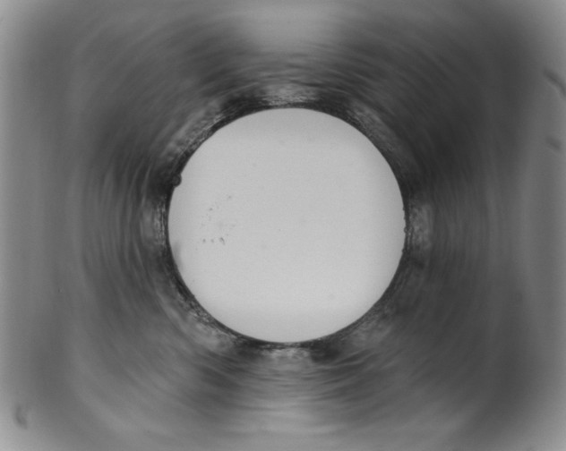 X0000101980426200808081620