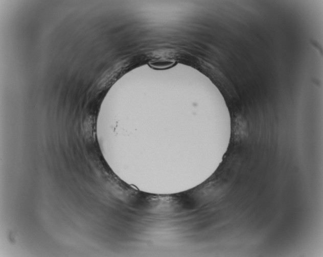 X0000101980428200808081620