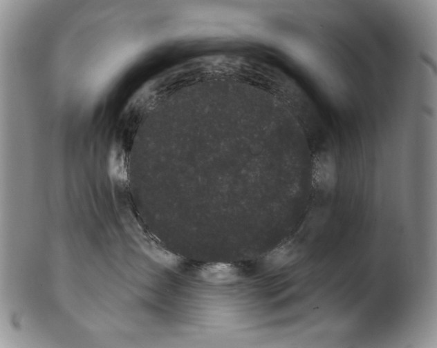 X0000101980431200808081620