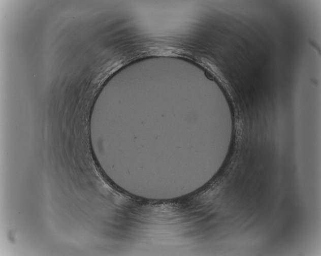 X0000101980433200808081619