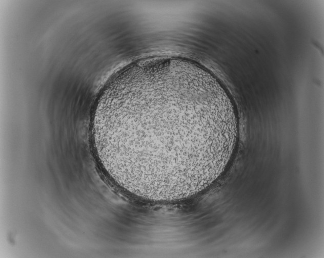 X0000101980434200808081619