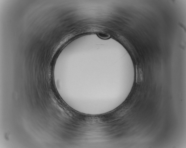 X0000101980435200808081619