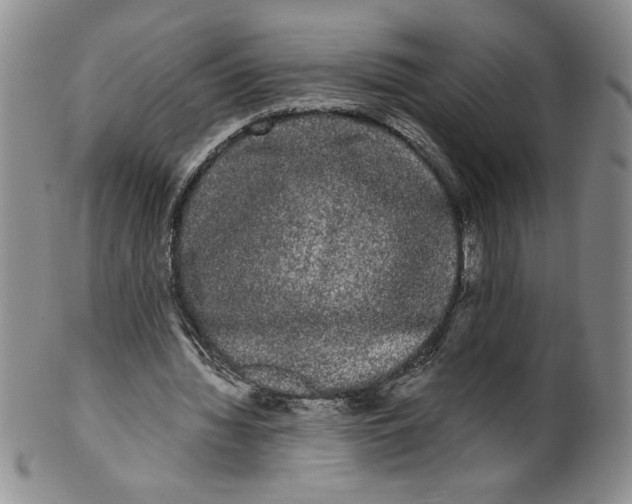 X0000101980436200808081619