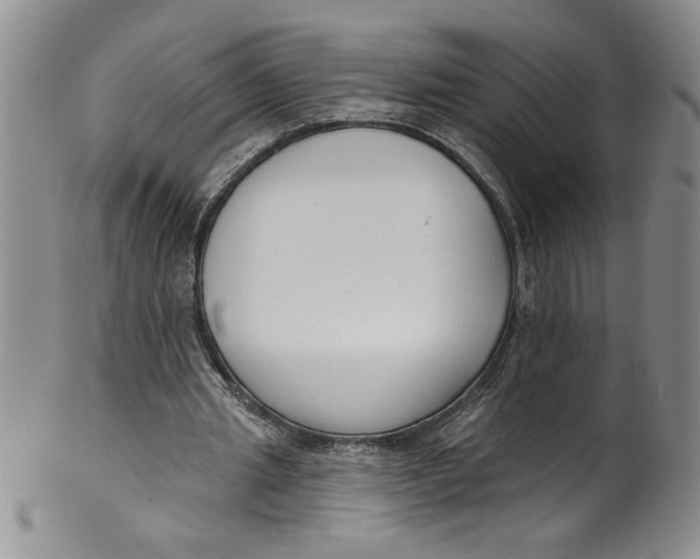 X0000101980437200808081619