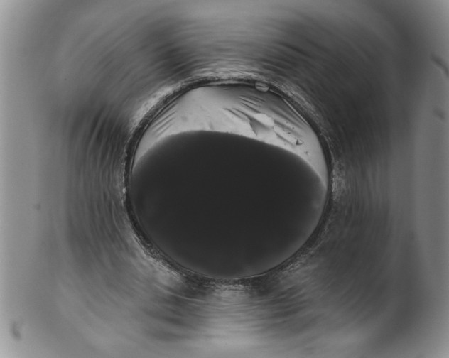 X0000101980438200808081619