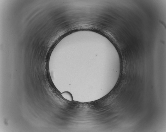 X0000101980439200808081619