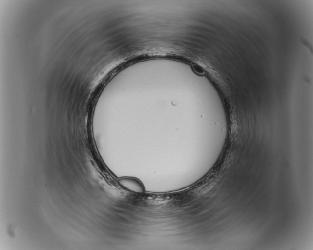 X0000101980440200808081619