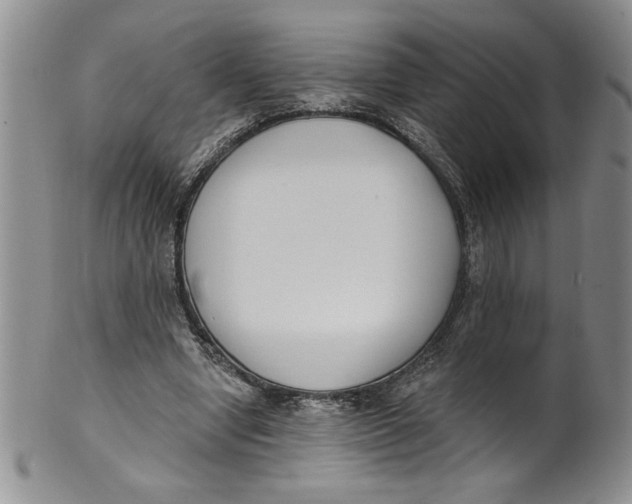 X0000101980442200808081619