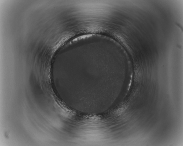 X0000101980443200808081619