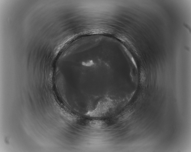 X0000101980444200808081619