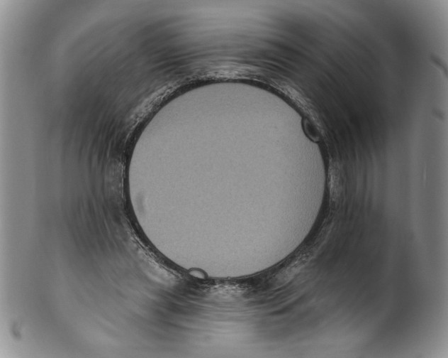 X0000101980445200808081619