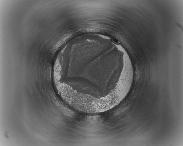 X0000101980446200808081619