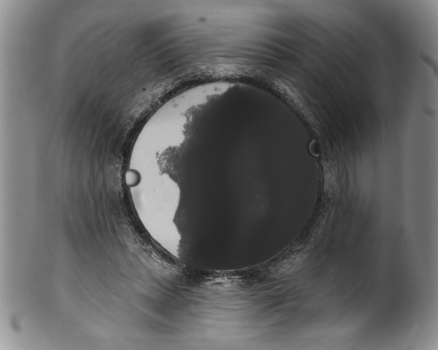 X0000101980447200808081619