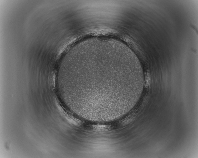 X0000101980448200808081619