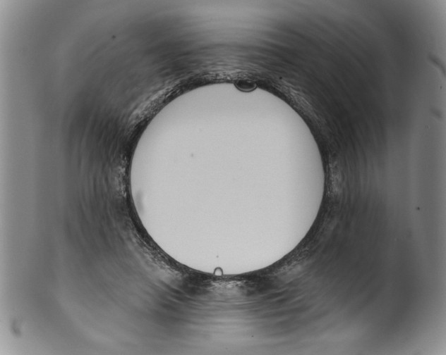 X0000101980450200808081619