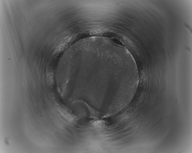 X0000101980452200808081619