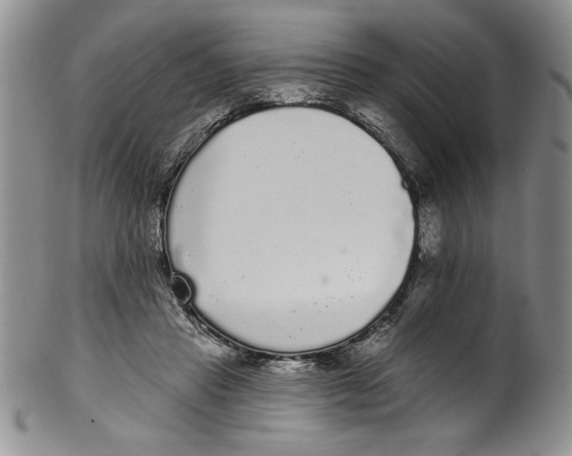 X0000101980453200808081619