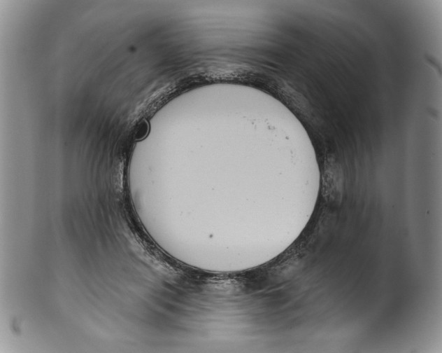 X0000101980454200808081619