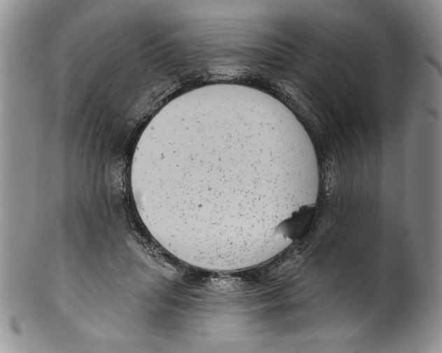 X0000101980455200808081619