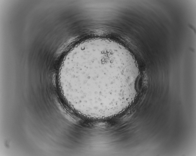 X0000101980456200808081619