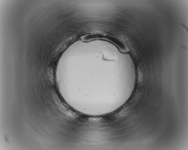 X0000101980457200808081619