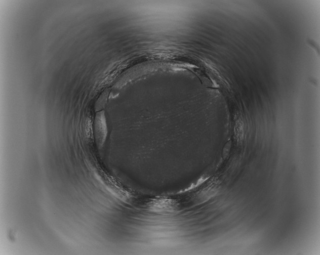 X0000101980459200808081619