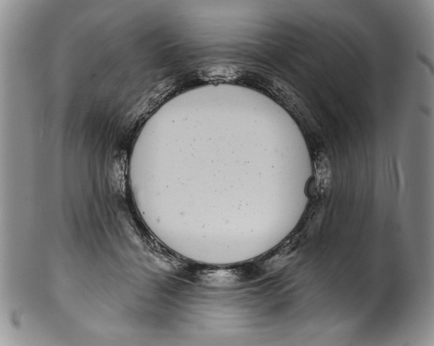 X0000101980460200808081619