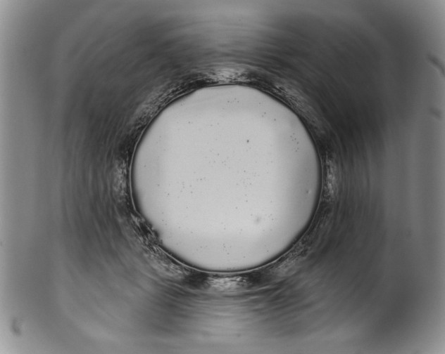 X0000101980461200808081619