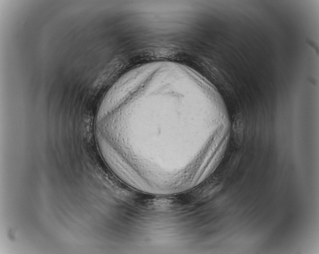 X0000101980462200808081619