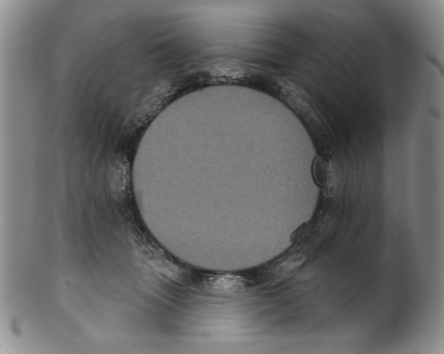 X0000101980463200808081619