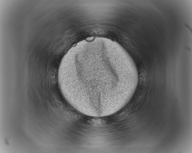 X0000101980464200808081619