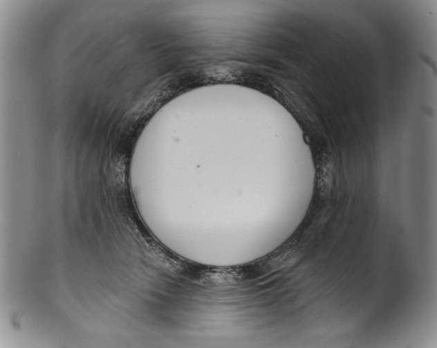 X0000101980466200808081619