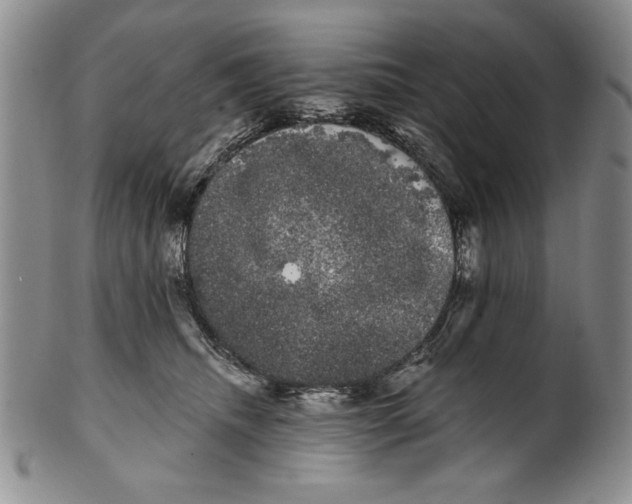 X0000101980468200808081619