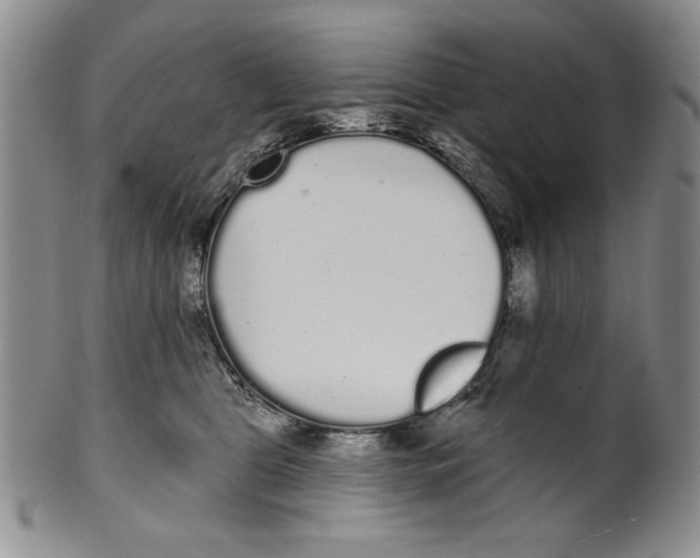 X0000101980469200808081619